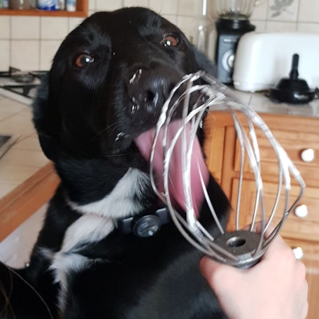 Parlez-nous de votre quotidien en cuisine !