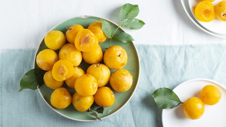 Découvrez les stars du mois