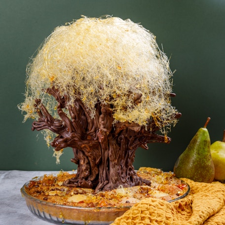 Pear & Chocolate Tree Tart