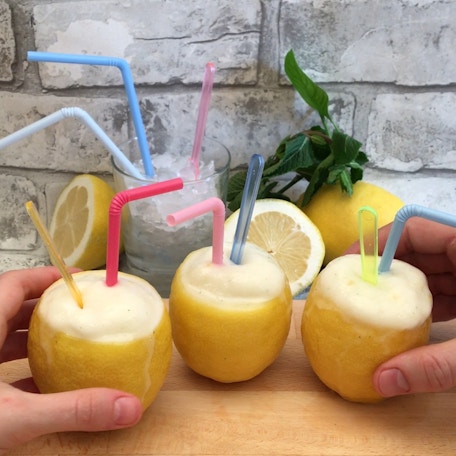Honey & Vodka Lemonade Slush