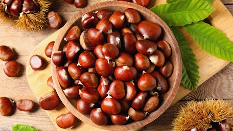 Découvrez les stars du mois