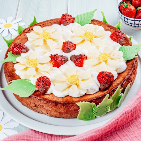 Le gâteau dans mon jardin