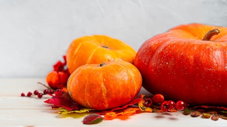 Découvrez les stars du mois