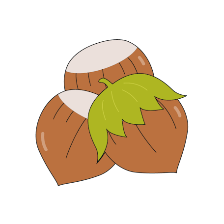 L’histoire à décortiquer