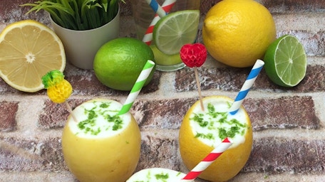 Frozen Gin and Tonic