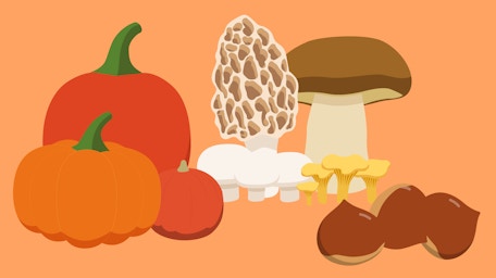 Nouveau : le calendrier Chefclub !