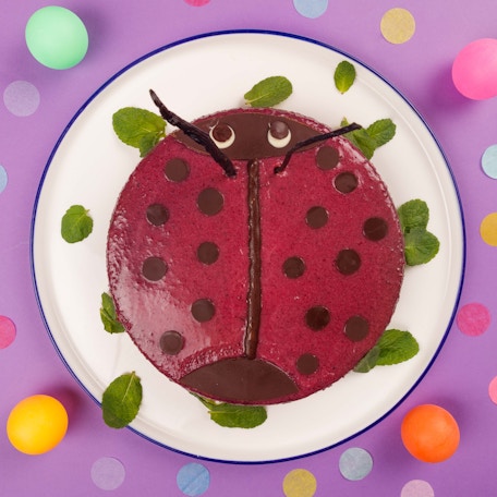 Le moelleux coccinelle