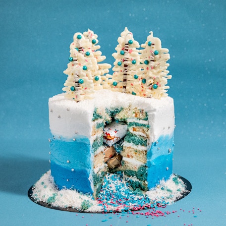 Winter Wonderland Cake